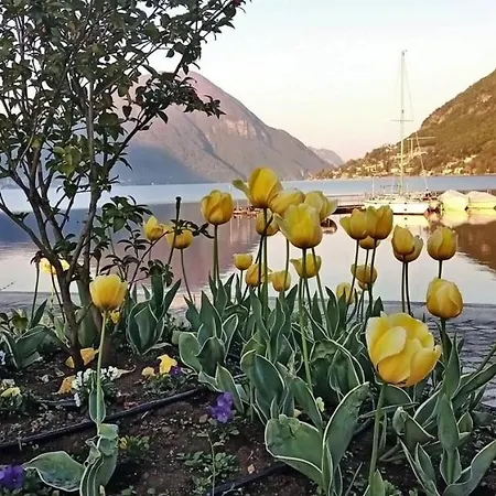 Il Giardino Di Lilly * Porlezza