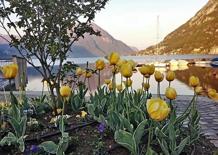 Il Giardino Di Lilly * Porlezza
